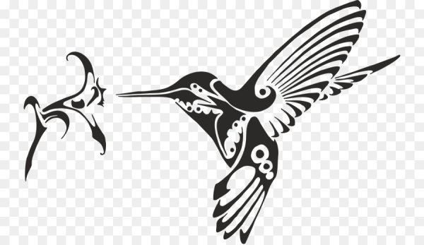 Колибри стилизация