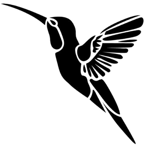 Колибри вектор