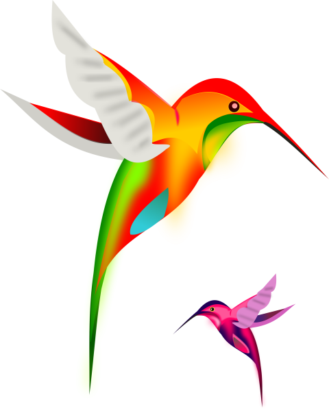 Райские птицы на белом фоне