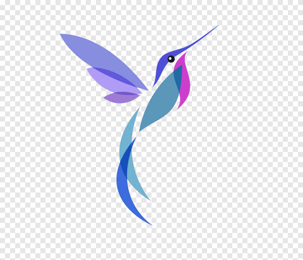 Колибри вектор