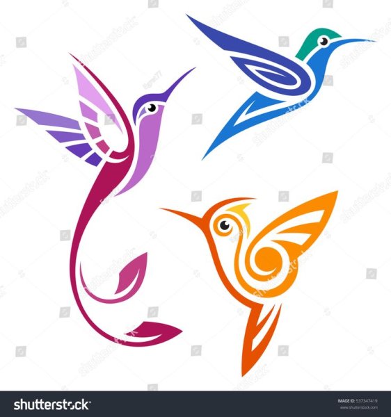 Колибри птица стилизованные