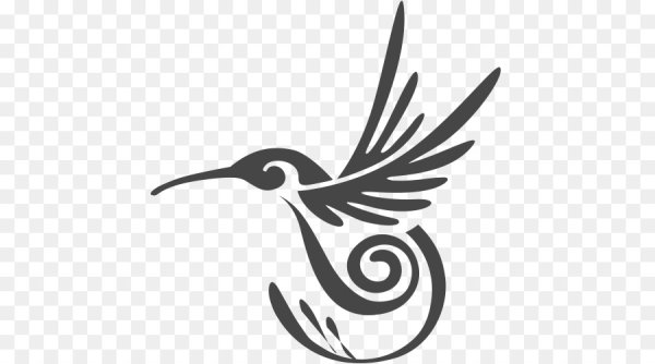 Силуэт райской птицы