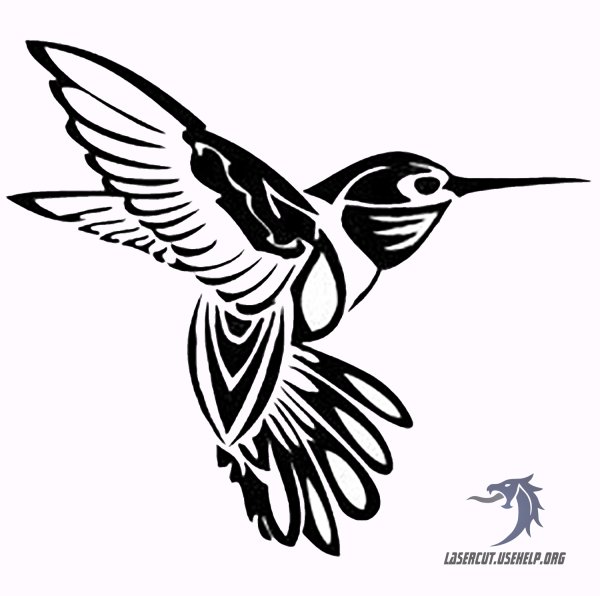 Трафареты птиц Колибри