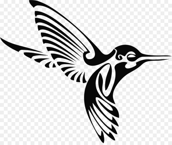 Колибри иконка