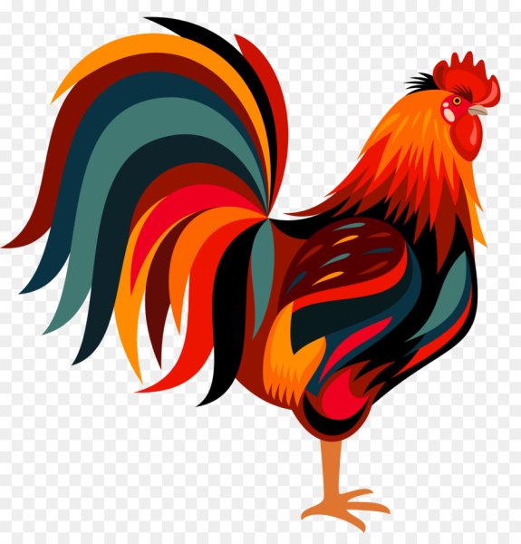 Петух рисунок