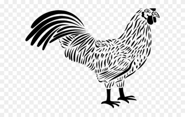 Петух Графика