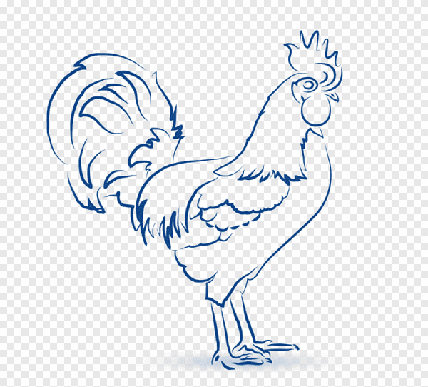 Контурный петух