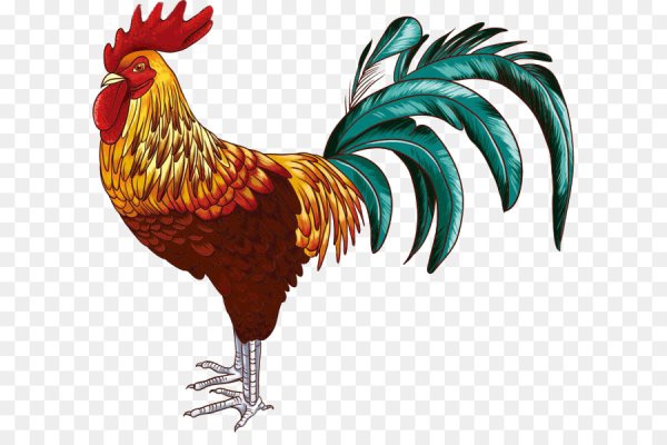 Петух вектор