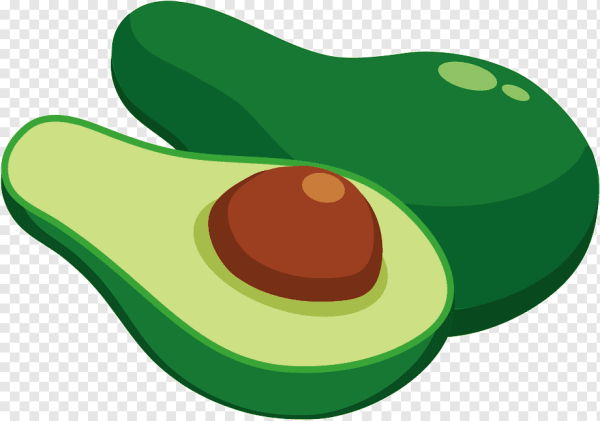 Авокадо рисунок