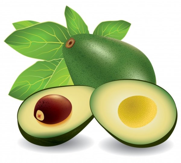 Авокадо печать