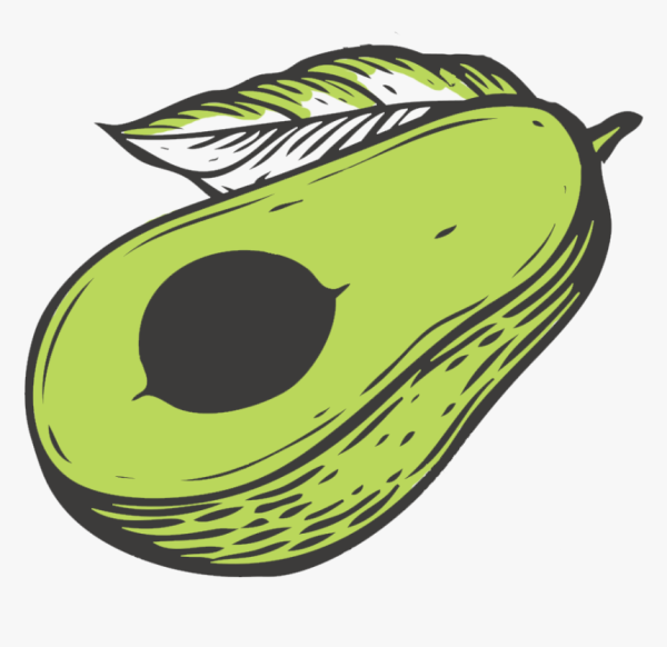 Авокадо векторный