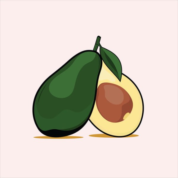 Авокадо логотип вектор