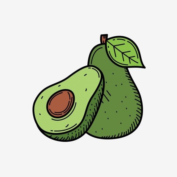 Авокадо вектор иллюстрация