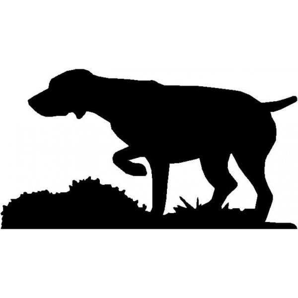 Курцхаар вектор