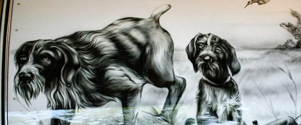 Рисунки для срисовки дратхаар во весь лист