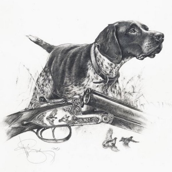 Курцхаар вектор