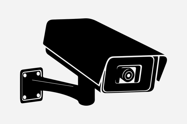 Фотоаппарат Кэнон вектор