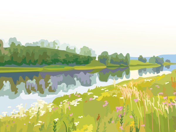 Рисунки природы