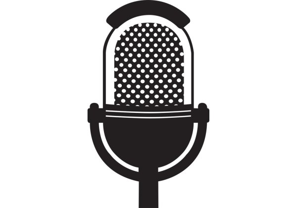 Микрофон векторный