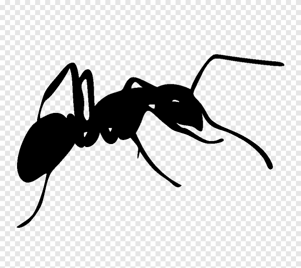 Муравей клипарт вектор