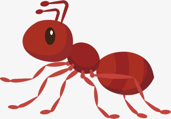 Изображение муравья