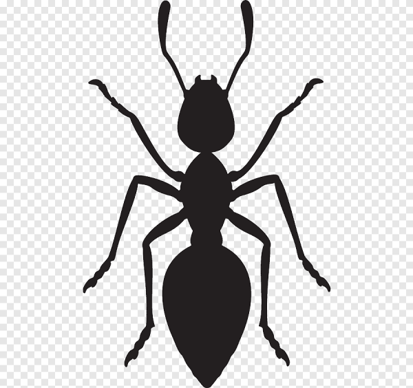 Муравей трафарет