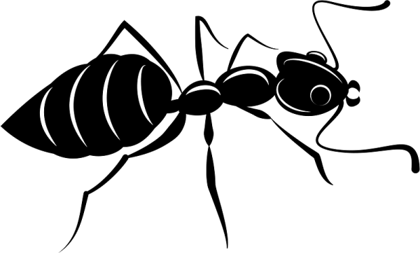 Муравей вектор