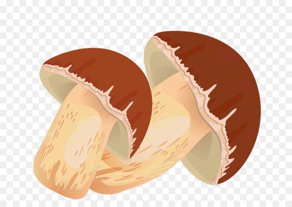 Векторные грибы