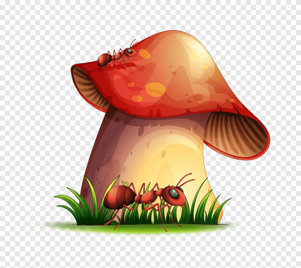 Грибок вектор