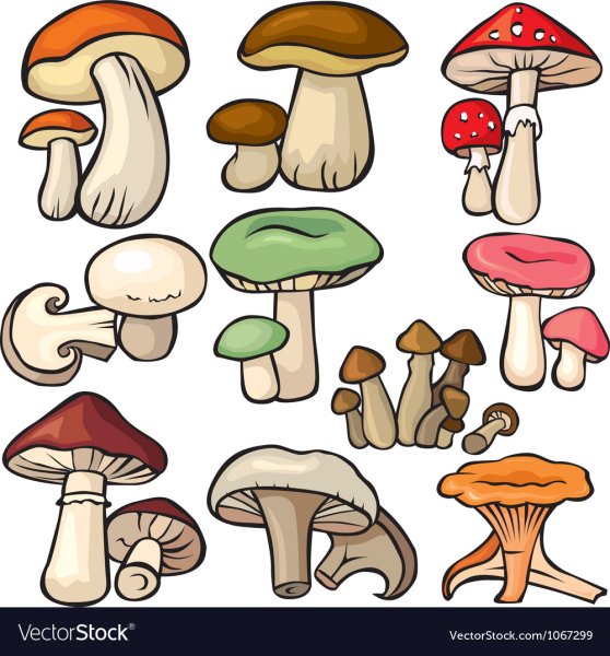 Гриб вектор для детей
