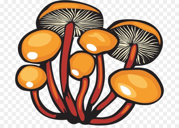 Грибы векторный клипарт