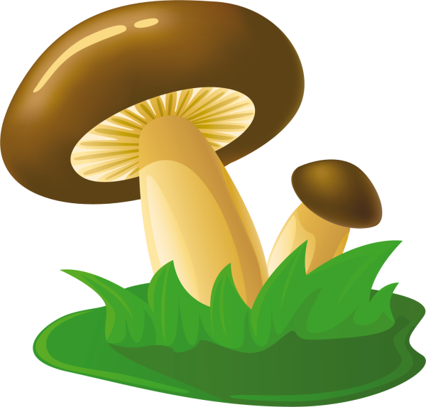 Грибы вектор
