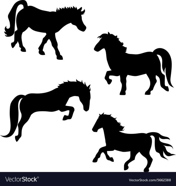 Векторное изображение пони