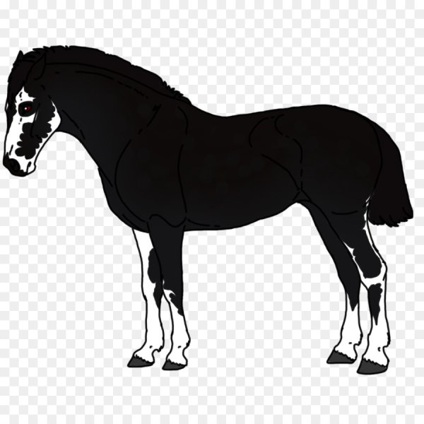 Гарцующий пони векторный рисунок