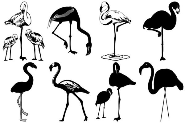 Фламинго силуэт