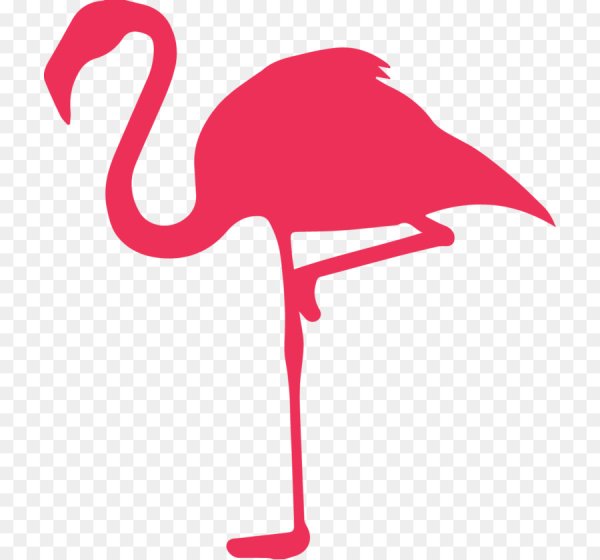 Силуэты птиц Фламинго