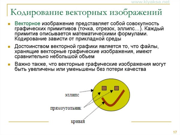 Векторное кодирование графической информации