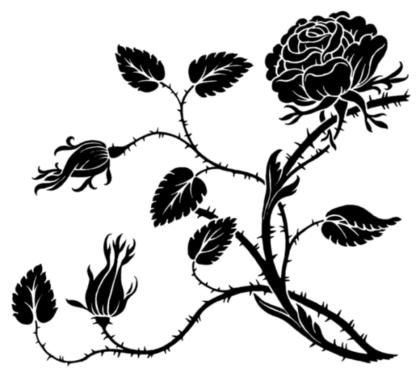 Монохромное изображение