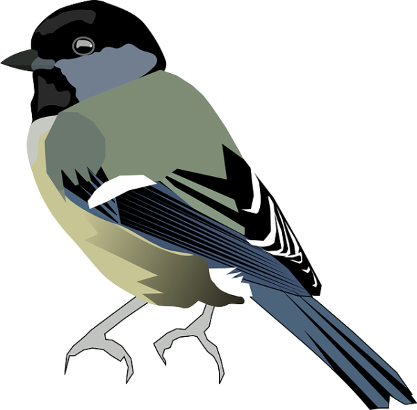 Синица мультяшная