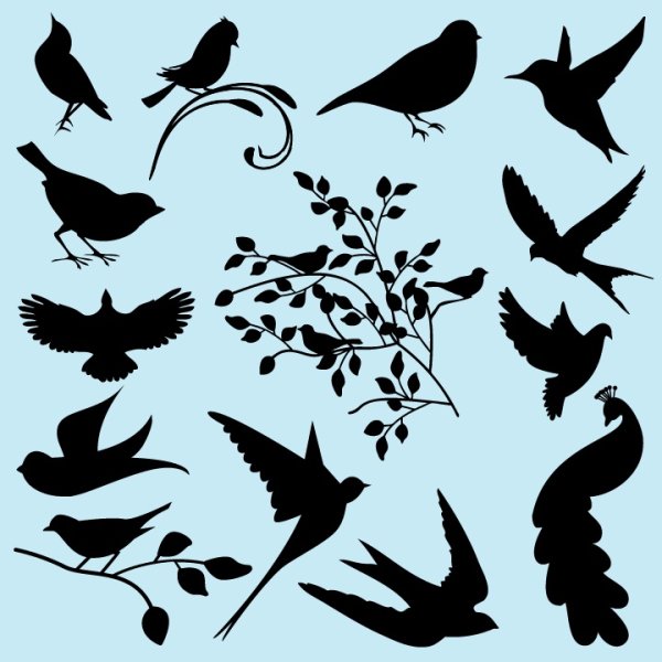 Силуэт птицы