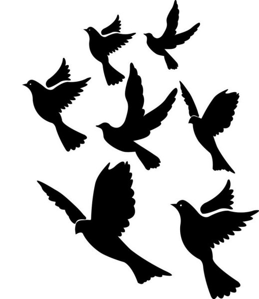 Трафареты птиц для декора