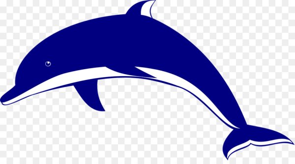 Дельфин векторный