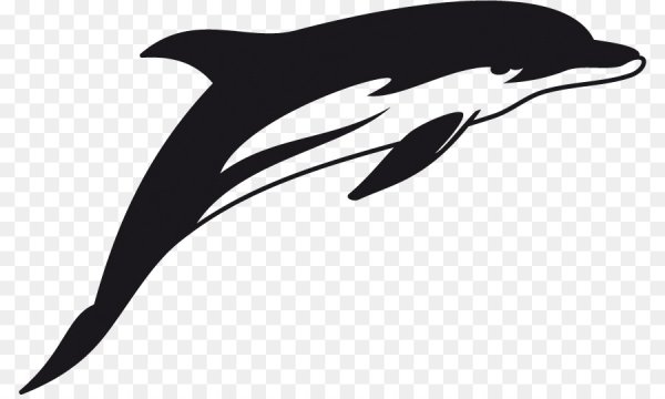 Дельфины силуэт