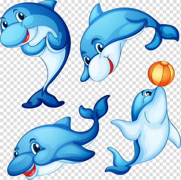 Морские животные для детей