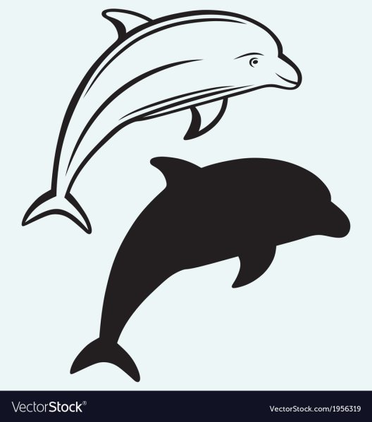 Дельфин векторный