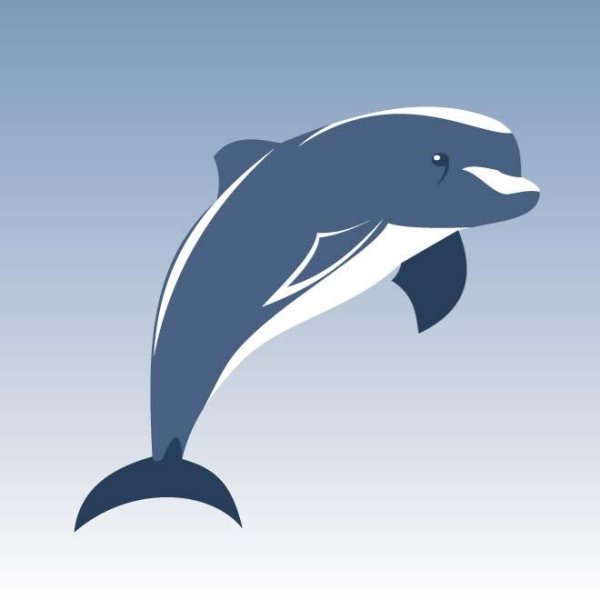 Векторное изображение дельфина