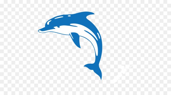 Дельфин вектор