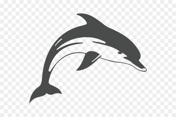 Контур дельфина