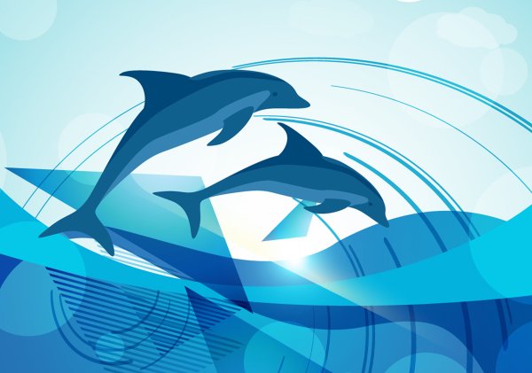Дельфины в море вектор