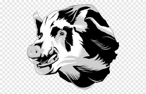 Дикий кабан вектор